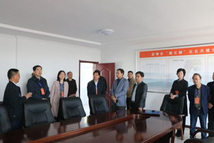 縣人大常委會視察全縣交通工作，聚焦百墩實業發展成效