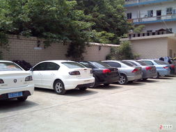 新起點汽車租賃 智能科技驅動的未來出行服務